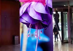 Creative LED 2